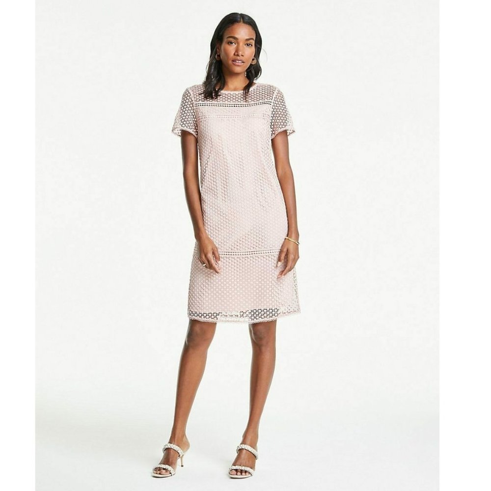 NWT Ann Taylor Shift Lined Dress Lace Overlay